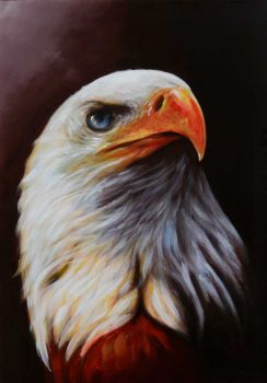 Proud Eagle - Tiere Handgemaltes Ölgemälde